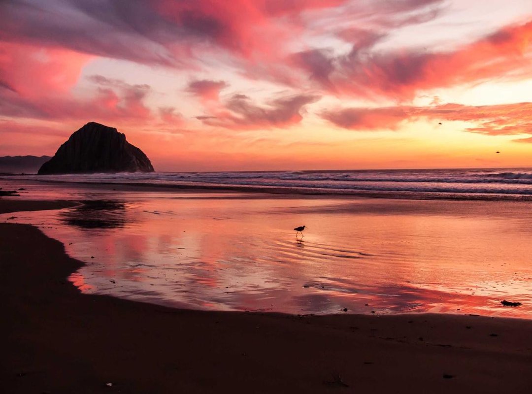 Your First Animated Graffiti Project: A Step-by-Step Guide