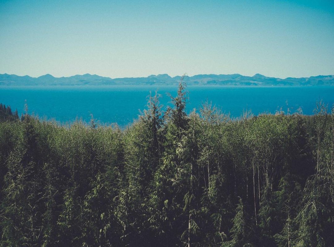 Beyond Cryptocurrency: Real-World Blockchain Applications