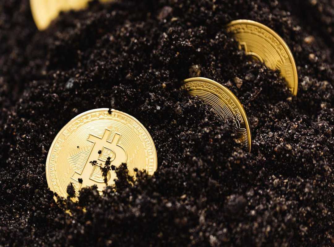 emerging altcoins growth
