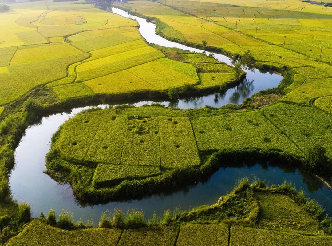 How to Implement Jameliz Anal