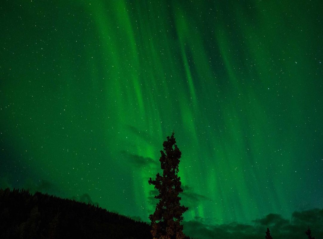 The Fallout: How the Internet Reacted