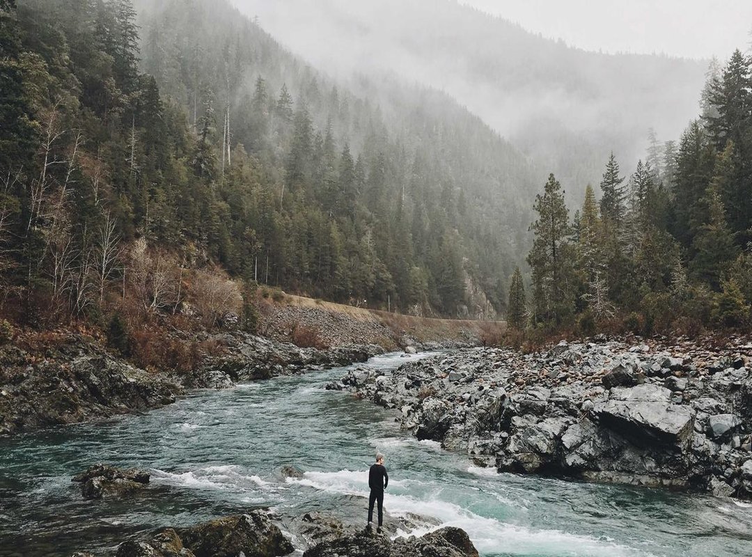 The Aftermath: Impact on Her Career and Public Image