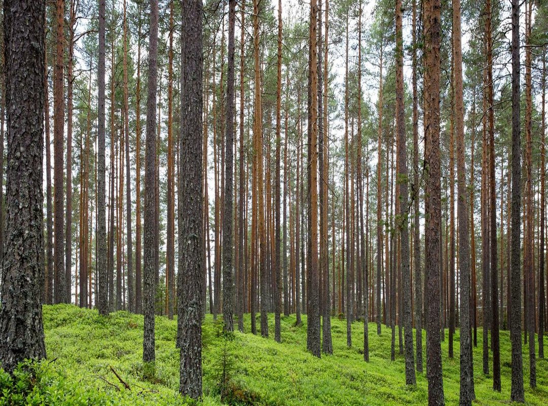 Getting Started: Your First Chat in 5 Minutes