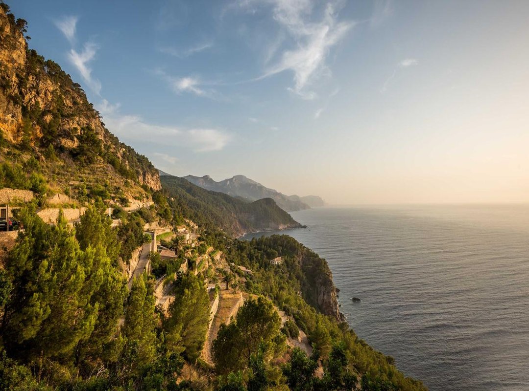 The Tattoo Process: What to Expect